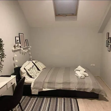 Vonamor Проживание в семье Нови-Сад