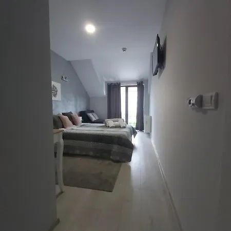 Vonamor Проживание в семье Нови-Сад