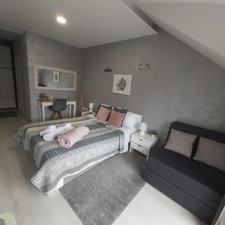 Vonamor Проживание в семье Нови-Сад