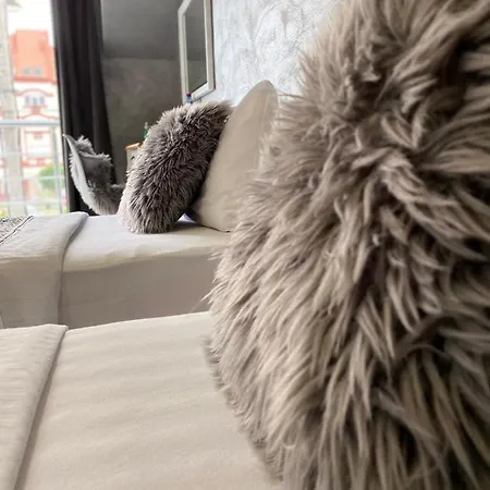 Vonamor * Нови-Сад