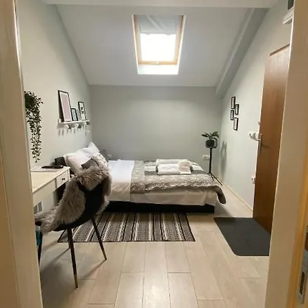 Vonamor Проживание в семье Нови-Сад