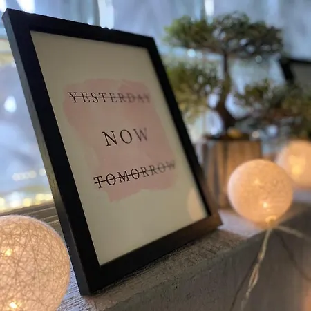 Проживание в семье Vonamor Нови-Сад