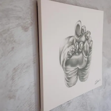 Vonamor Проживание в семье Нови-Сад